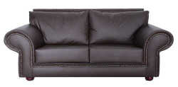 Stylish 2-div Couch For