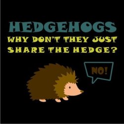 Hedgehogs Mens T-Shirt Black XL