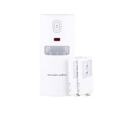 Wireless Motion Sensor With 2 Remote Controls