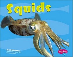Squids Pebble Plus