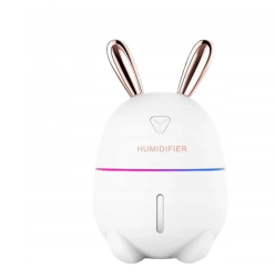 Humidifier With Adjustable Spray Mode 300ML Water Tank 7 Colour Light