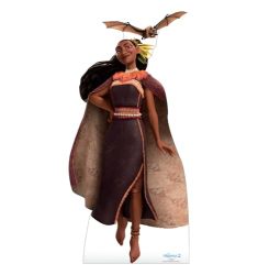 Product image - {main}