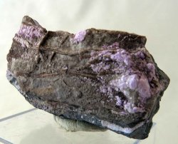 Pink Fibrous Sugilite N'chwaning III South Africa