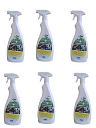 GT8 Degreaser 750ML Pack 750ML 10 Units