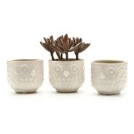 T4U 3.75Ceramic Lotus Pattern Round Succulent Cactus Plant Pots Flower Pots Planters Containers Window Boxes with Small Hole White 