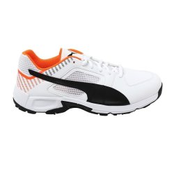 puma cricket boots