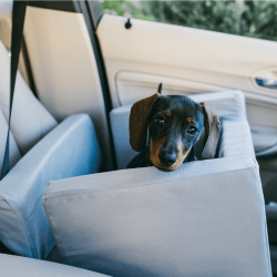 Woof Seat Original - Dog Car Seat