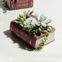 Retro Literature Book Pots Vintage Book Flower Pot Planter For Flower Succulent Cacti Herbs Plant...