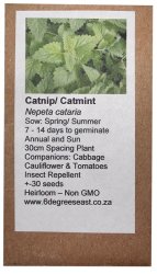 Heirloom Herb Seeds - Catnip
