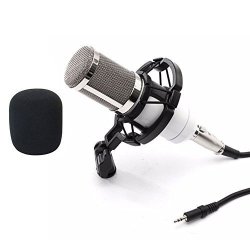 ??byedog?condenser Pro Audio BM800 Microphone Sound Studio Dynamic MIC +shock Mount White