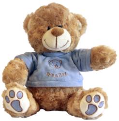 Gentle Treasures 18CM Its A Boy Teddy Bear Blue