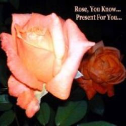Rose You Know - Present For You Paperback