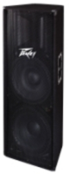 Peavey PV215 Passive Speaker