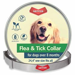Dog Flea And Tick Collar - Flea And Tick Prevention For Dogs Up To 1 Year Easily Adjustable And Waterproof For Large Small Dogs