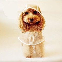 poodle raincoat