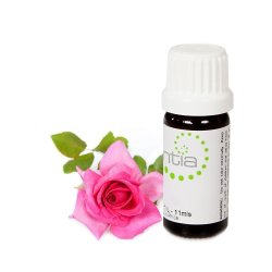 Escentia Natural Rose Blend Essential Oil - Standardised - 50ML