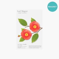 Camellia Flower & Leaf Magnet Set - White