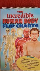Human Body Educational Layered Flip Chart