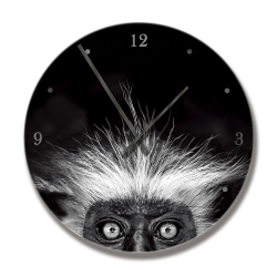 Clock With Shades Of Nature Monkey Image