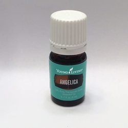 Angelica 5 Ml Essential Oil By Young Living Essential Oils