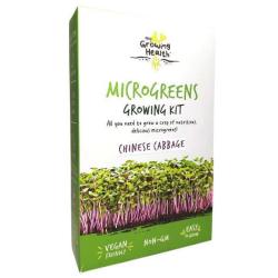 My Growing Health Chinese Cabbage Microgreen Kit