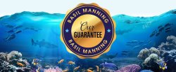 Shimano Instage Spin 7FT - Medium Heavy - Basil Manning