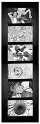 Malden International Designs Berkeley Matted Black Wood Collage Picture Frame 6 Option 6-4X6 Black