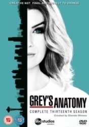 Grey's Anatomy: Complete Thirteenth Season DVD