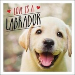 Love Is Labrador: A Lab-tastic Celebration Of The World& 39 S Favourite Dog Hardcover