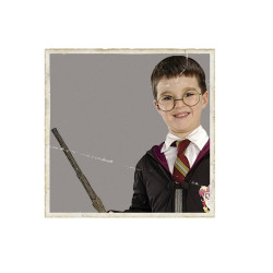Harry Potter - Wand And Glasses Set