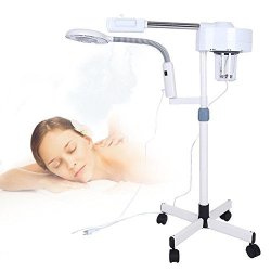 facial lamp with steamer