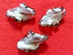 15 X 20mm Charcoal Leaf Foil Glass Beads