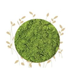 Dried Green Tea Powder Camellia Sinensis