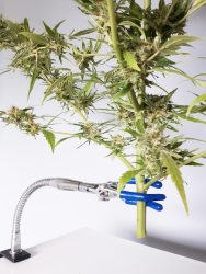 420 Smart Cannabis Trimming Clamping Unit Easy Harvesting