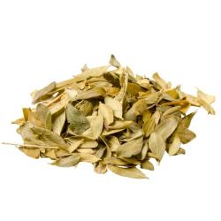 Dried Buchu Leaves Cut Agathosma Betulina - Bulk - 1KG
