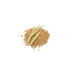 Hydrolyzed Wheat Protein - 1L