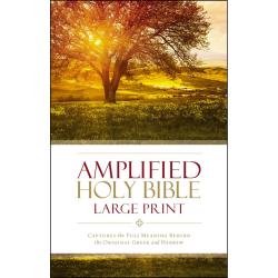 Amplified Bible - Hard Cover - Large Print