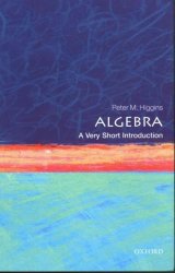Algebra: A Very Short Introduction Paperback