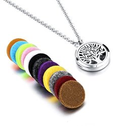 Long Way Aromatherapy Essential Oil Diffuser Necklace With 317l Stainless Steel Pendant Jewelry Gift Set