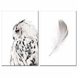 Sechars - Contemporary Wall Art Canvas Grey Owl Pictures For Living Room Feather Paintings Modern Giclee Artwork Stretched Ready To Hang Each Piece 16X24 Inch