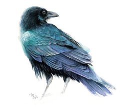 Raven Watercolor Giclee Print