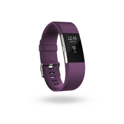 Fitbit Charge 2 Activity Tracker Large-plum