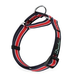dazzber martingale collar