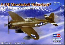 P-47d "thunderbrot" Razorback Fighter