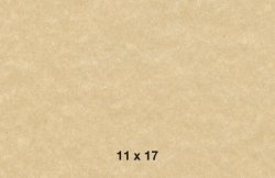 Pergamenata White Paper - 11 x 17 Parchment Vellum, 74lb Text