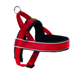Hunter Harness Racing Red And Black - M 48-60 Cm