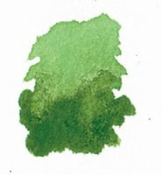 Dr. Ph. Martin& 39 S Hydrus Liquid Watercolour - Sap Green 30ML