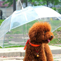 Transparent Waterproof Pet Umbrella Raincoat With Leash