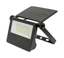 10W Motion Sensor Solar Floodlight