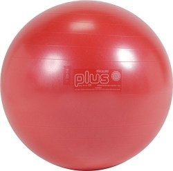 Gymnic Classic Plus Burst-resistant Exercise Ball Red 55 Cm